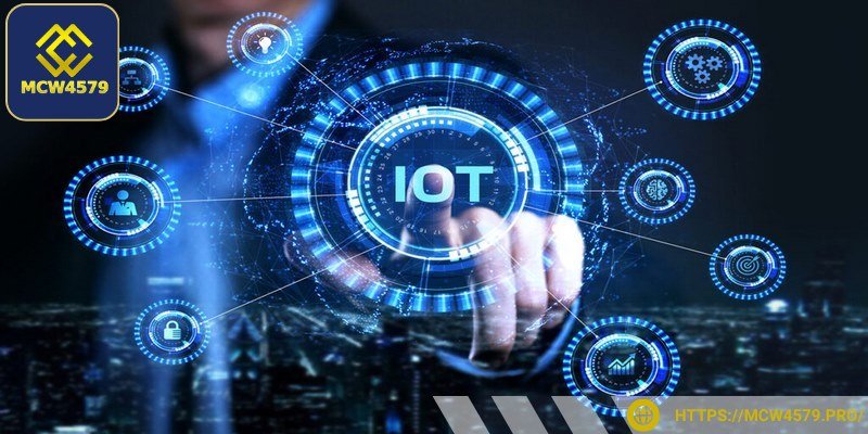 Bạn có thể truy cập vào một kho dữ liệu đã được phân tích sẵn