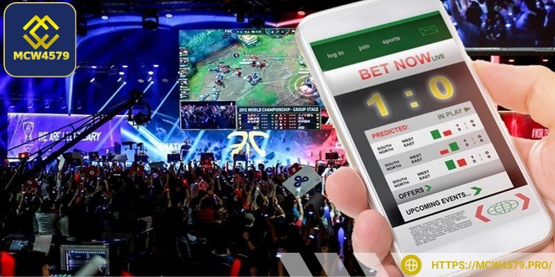 Bạn không nên phụ thuộc vào 1 nguồn tin duy nhất